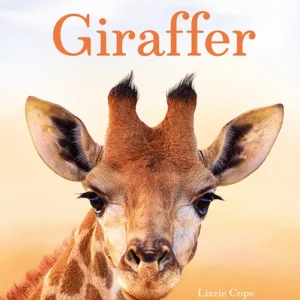 Små fakta: Giraffer