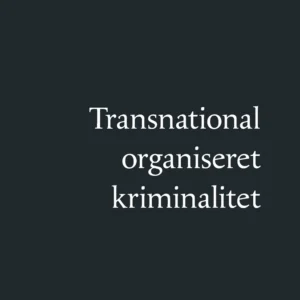 Transnational organiseret kriminalitet