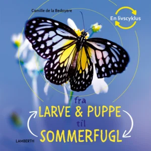 Fra larve og puppe til sommerfugl