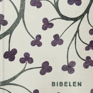 Bibelen med apokryfer