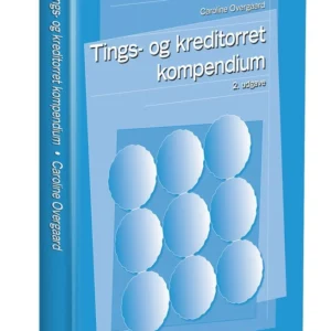 Tings- og kreditorret - kompendium