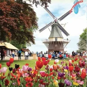 Amsterdam & Netherlands