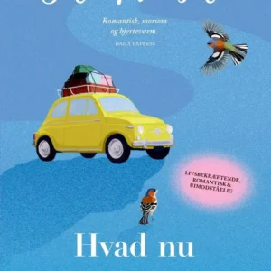 Hvad nu hvis