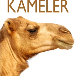 Kameler