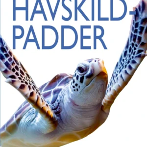 Havskildpadder