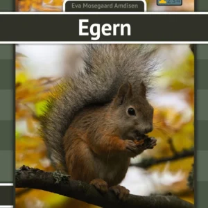 Egern