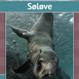 Søløve
