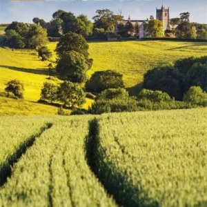 The Rough Guide to England (Travel Guide with Free eBook)