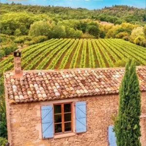 The Rough Guide to France (Travel Guide with Free eBook)
