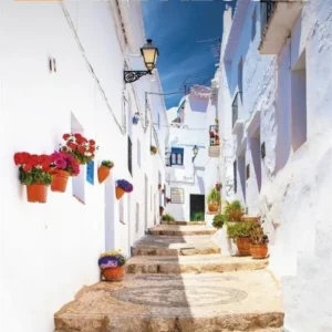The Rough Guide to Andalucia (Travel Guide with Free eBook)