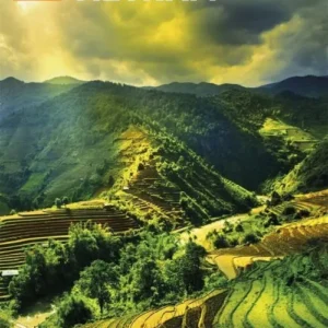 The Rough Guide to Vietnam (Travel Guide with Free eBook)