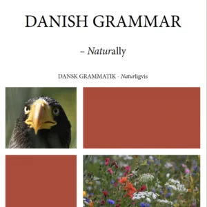 Danish Grammar