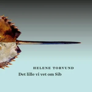 Det lille vi vet om Sib