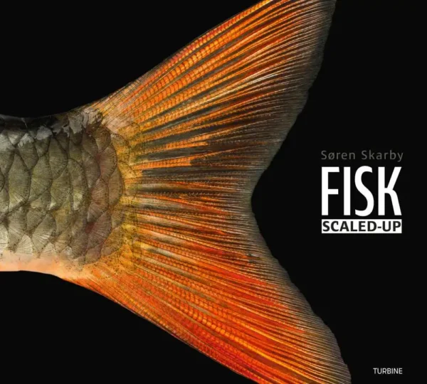 FISK  -  scaled-up