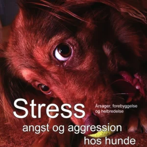 Stress, angst og aggression hos hunde