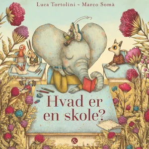 Hvad er en skole?