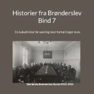Historier fra Brønderslev - Bind 7
