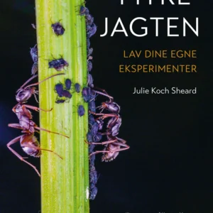 Myrejagten