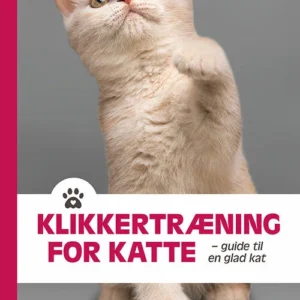 Klikkertræning for katte