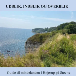 Udblik, indblik og overblik