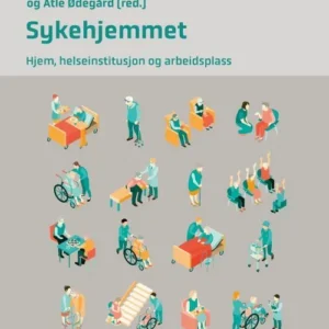 Sykehjemmet : hjem, helseinstitusjon og arbeidsplass