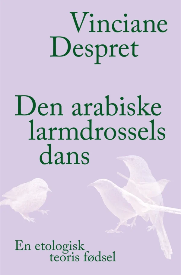Den arabiske larmdrossels dans
