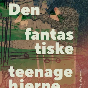 Den fantastiske teenagehjerne