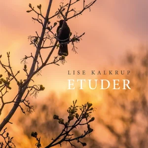 Etuder