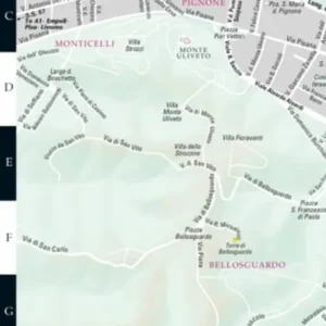 Florence Streetwise Map (Laminated)