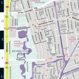 Amsterdam Streetwise Map (Laminated)