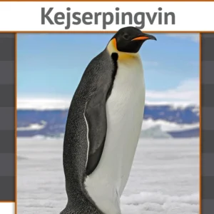 Kejserpingvin