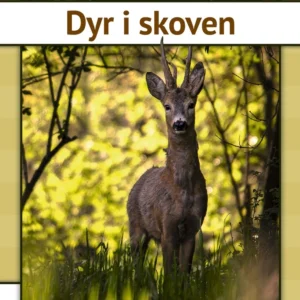 Dyr i skoven