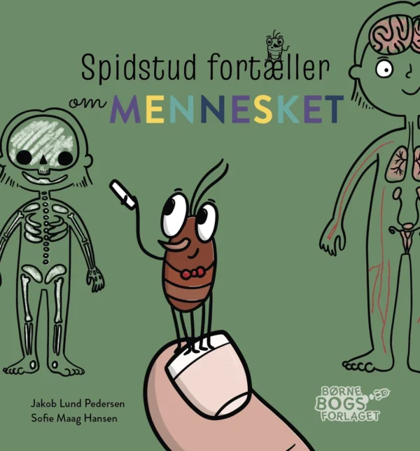 Spidstud fortæller om mennesket