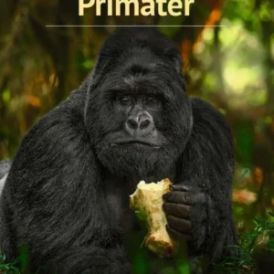 Primater