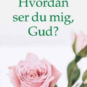 Hvordan ser du mig, Gud?