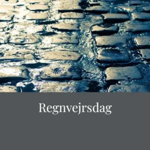 Regnvejrsdag