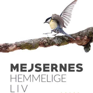Mejsernes hemmelige liv