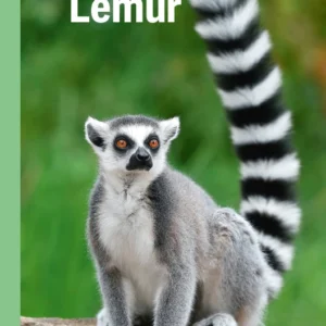 Lemur, Grøn Fagklub