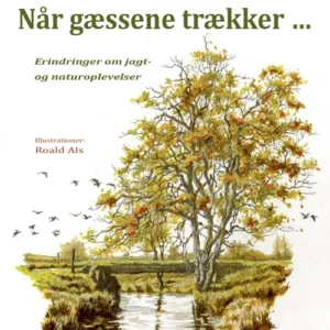 Når gæssene trækker