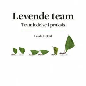 Levende team : teamledelse i praksis