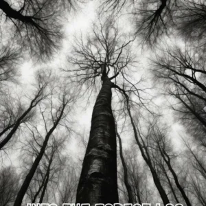 Into the Forest I Go
