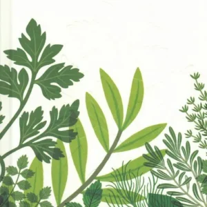 Herb: A Cook's Companion