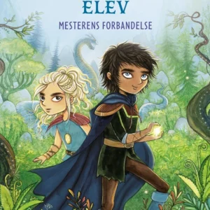 Magikerens elev  -  Mesterens forbandelse