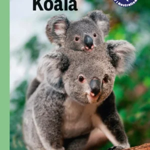 Koala, Grøn Fagklub
