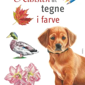 Kunsten at tegne i farve
