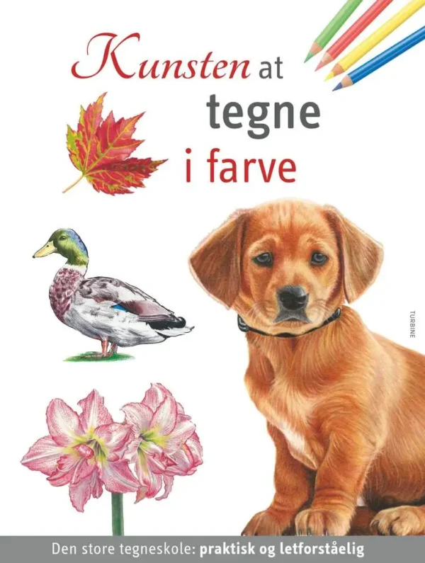 Kunsten at tegne i farve
