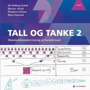 Tall og tanke 2 : matematikkundervisning på barnetrinnet