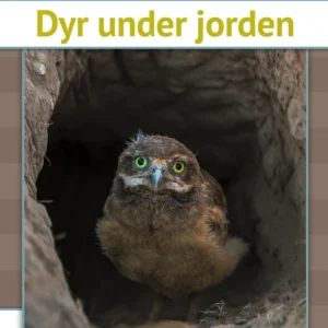 Dyr under jorden