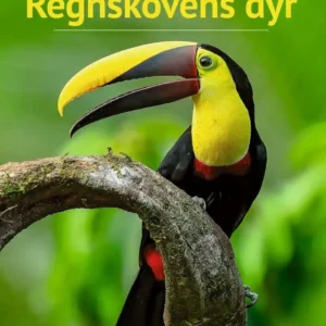 Regnskovens dyr