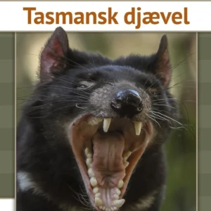 Tasmansk djævel